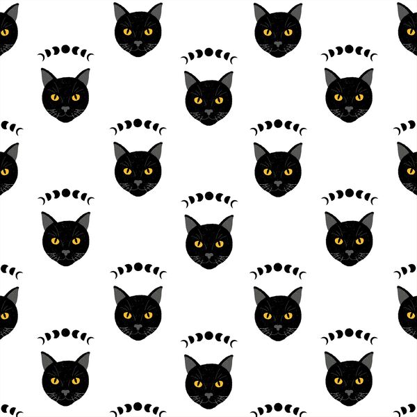 Mystical Cats in White