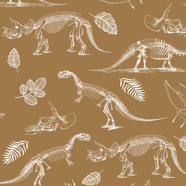 Fossils in Ochre