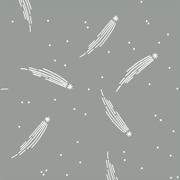 Meteor Shower in Sage