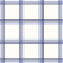 Homespun Plaid in Dutch Blue
