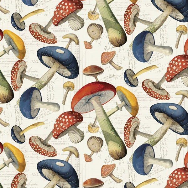 Packed Mushrooms in Multi