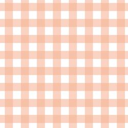 Gingham in Coral Blush