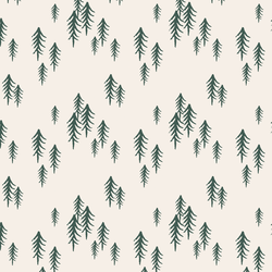 Winter Forest in Spruce