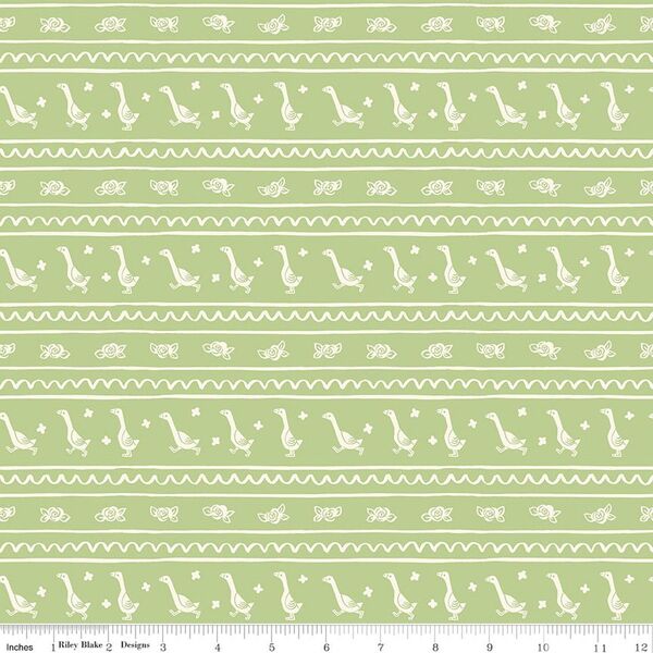 Runner Ducks in Honeydew