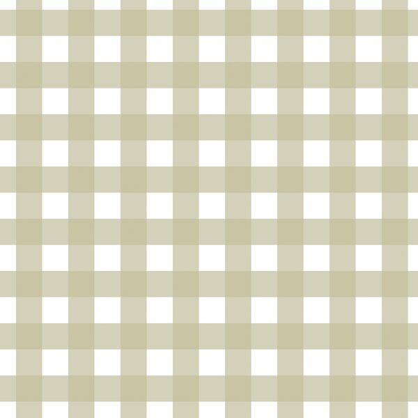 Gingham in Light Mossy Green