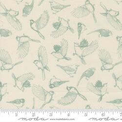Flock of Feathers in Cloud