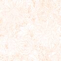 Paperie in Blooming Orange on White
