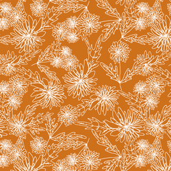 Chrysanthemum Sketch in Zinnia