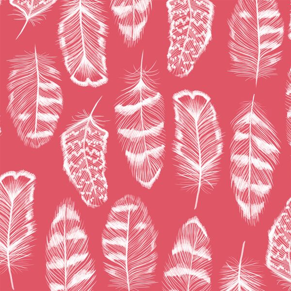 Plume in Passion