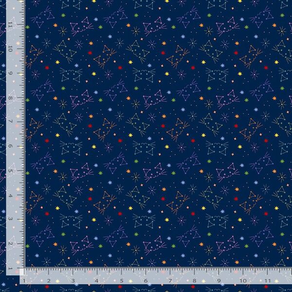 Felis in Navy