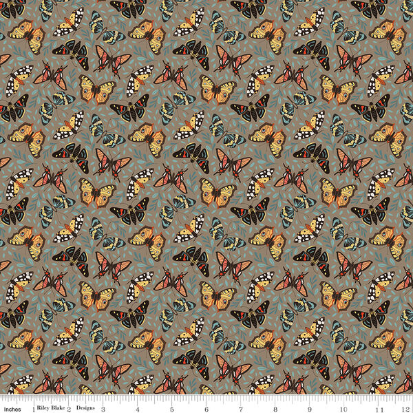 Moths in Chestnut