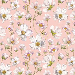 Spring Cosmos in Cherry Blossom