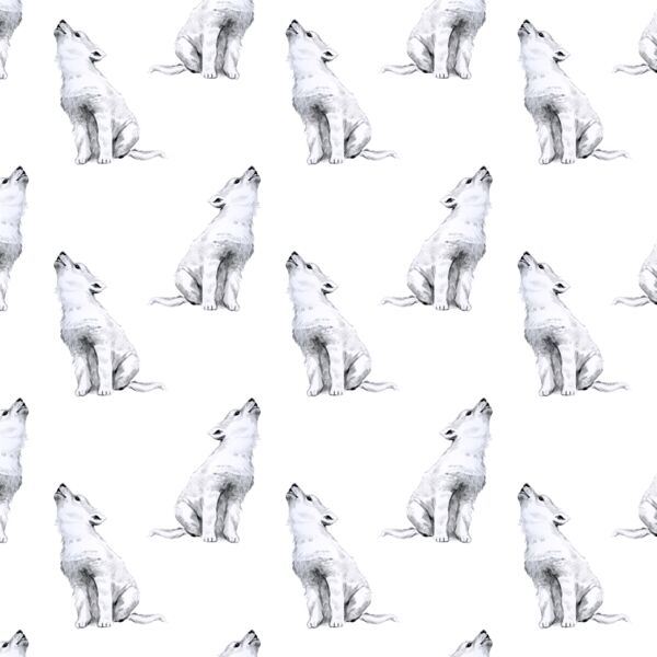 Little Arctic Wolf in White