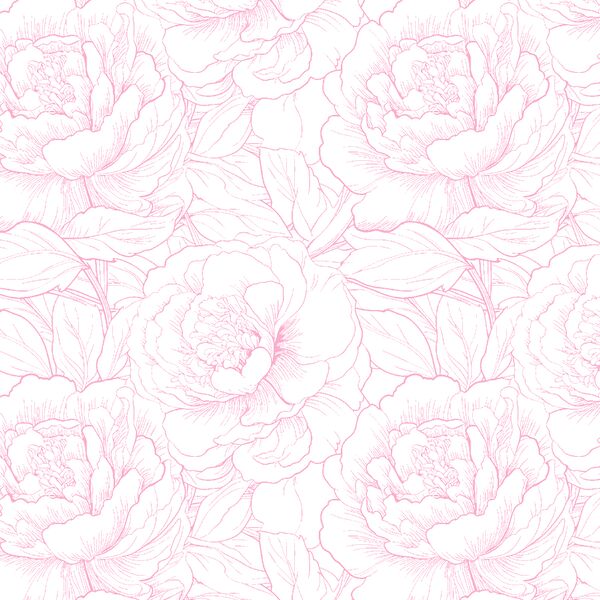Peony Sketch in Wild Rose