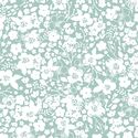 Forget Me Not in Aspen