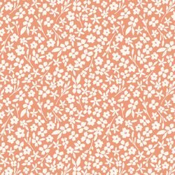 Little Lady in Apricot