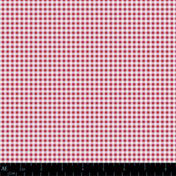 Mercerie Gingham in Cherry Paper