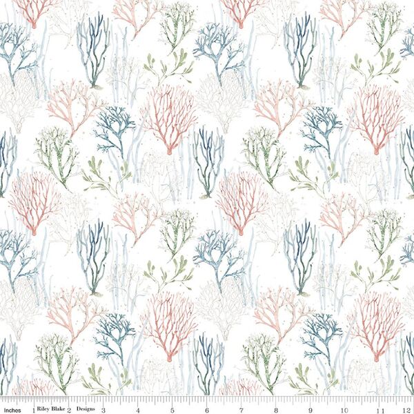 Aquatic Plants in White