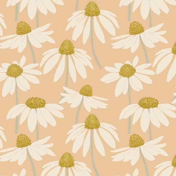 Coneflower in Summer Peach