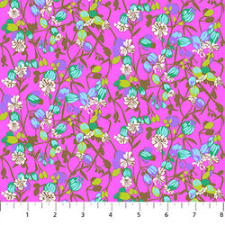 Silene in Fuchsia