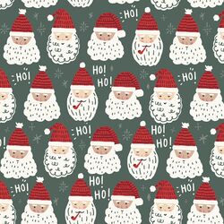 Father Christmas in Duck Green