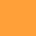 Ruby and Bee Solid in Pumpkin