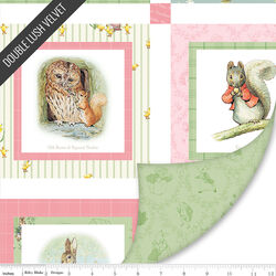 Peter Rabbit and Friends Double Lush Velvet