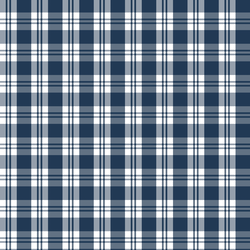 Little Spring Plaid in Navy