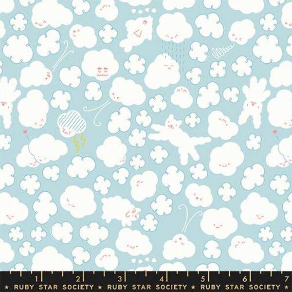 Cloudy in Lily Pad