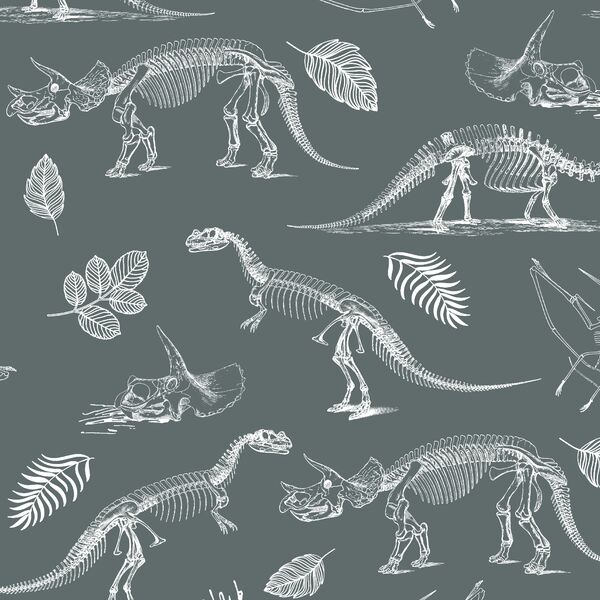 Fossils in Storm