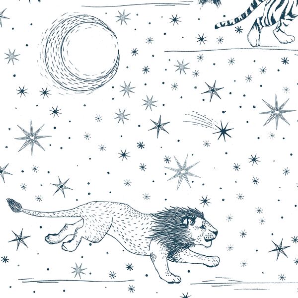 Large Celestial Safari in Deep Ocean