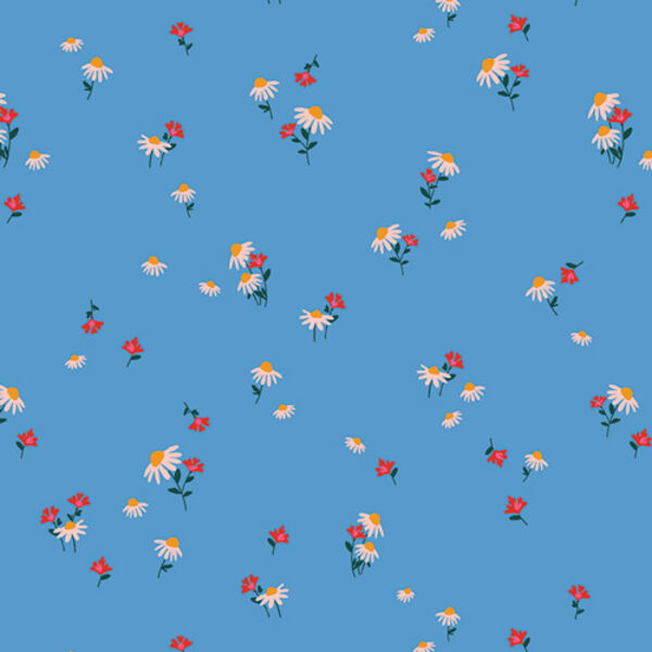 Delicate in Sky