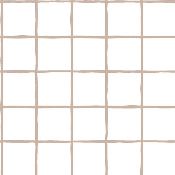 Windowpane in Sand on White
