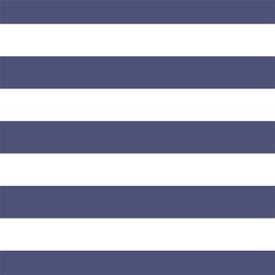 Horizontal Play Stripe in Indigo