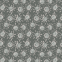 Sunshine in Slate