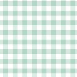 Spring Gingham in Mint