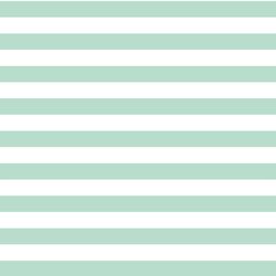 Horizontal Candy Stripe in Mint