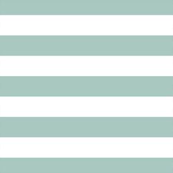 Horizontal Play Stripe in Aspen