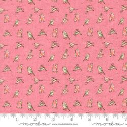 Orlo in Blush