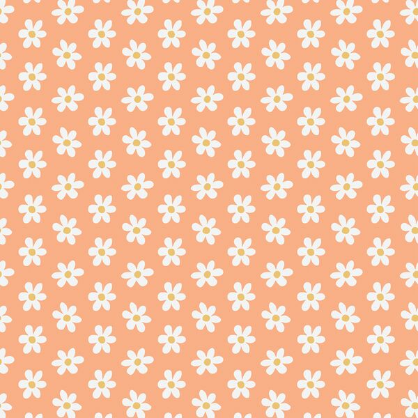 Spring Daisies in Carrot