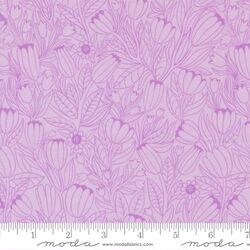 Tulip Lines in Lavender