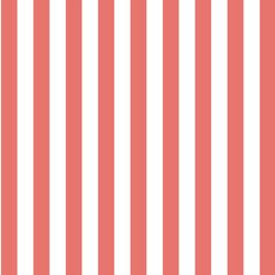 Candy Stripe in Living Coral