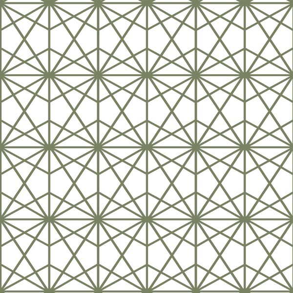 Terrarium in Olive on White