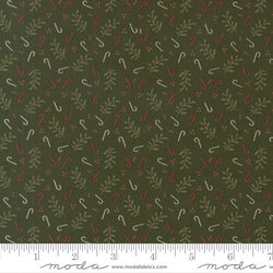 Holly Candy in Pine