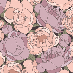 Blooming Peonies in Evening