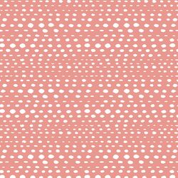 Little Skipping Stones in Tulip