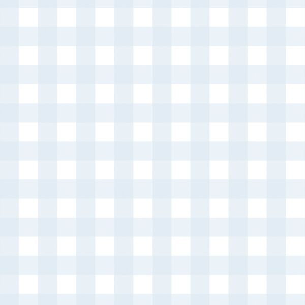 Spring Gingham in Blue Skies