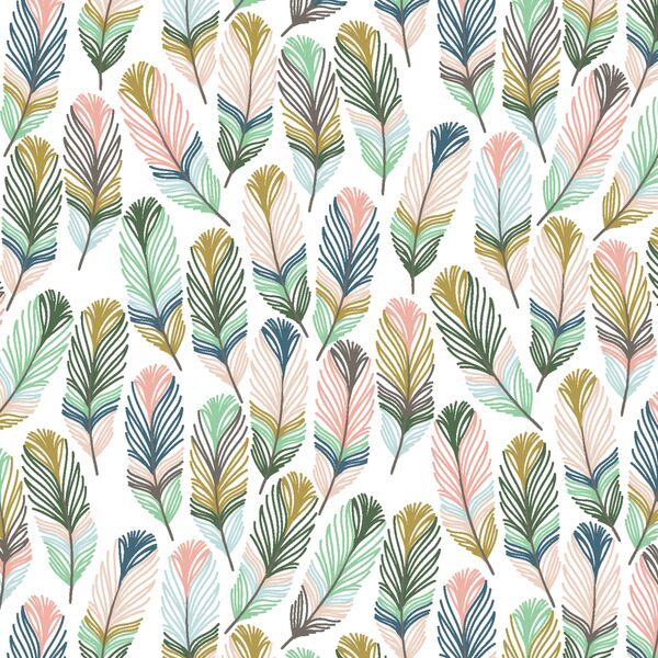 Feathers in Lamb