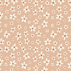 Daisies in Blossom