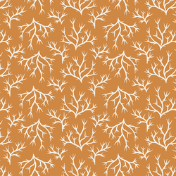 Coral Cadenza in Sunlight